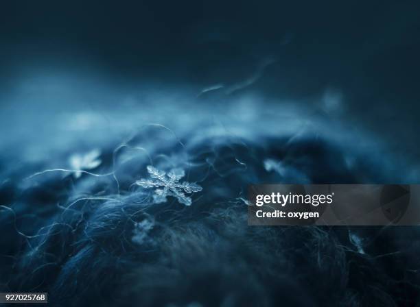 340 Compound Oxygen Stock Photos, High-Res Pictures, and Images - Getty ...