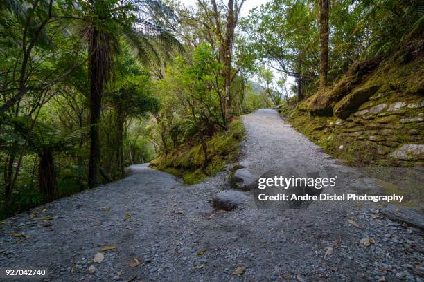 franz josef glacier area - new zealand - glacial motion stock pictures, royalty-free photos & images