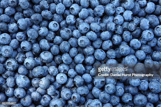 blueberries - fruits stock pictures, royalty-free photos & images