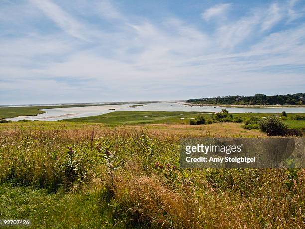 a scenic bay in summertime - wellfleet stock pictures, royalty-free photos & images