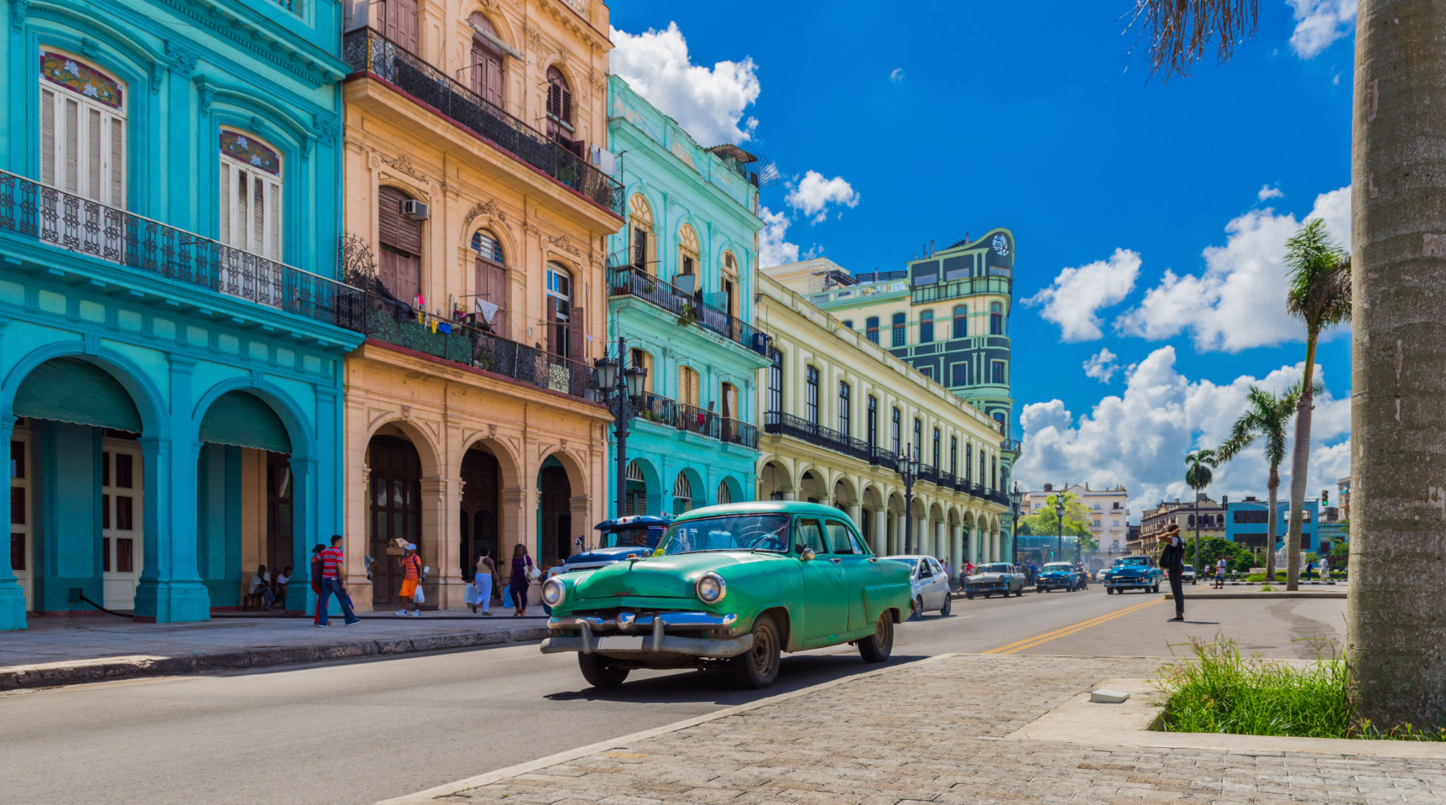 vintage car tour