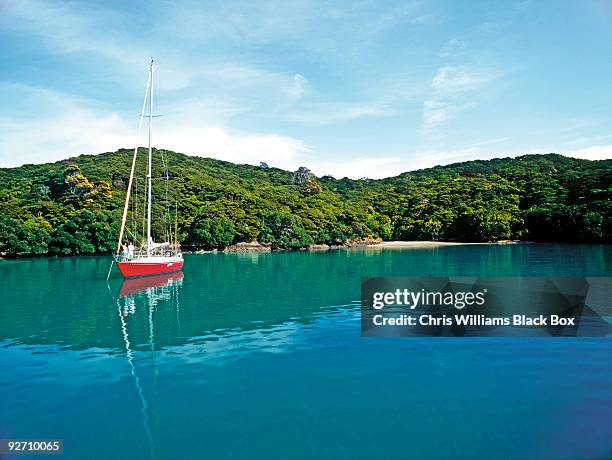 boat in the bay of islands in new zealand. - bay of islands stock-fotos und bilder