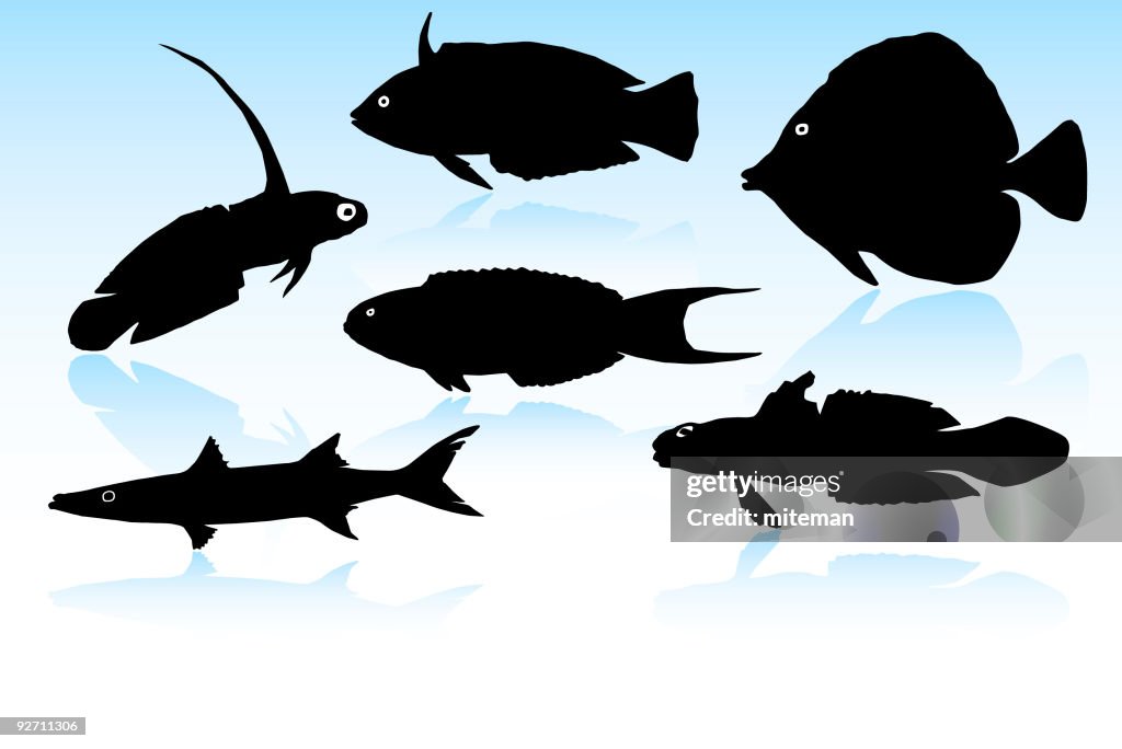 Fish Silhouettes