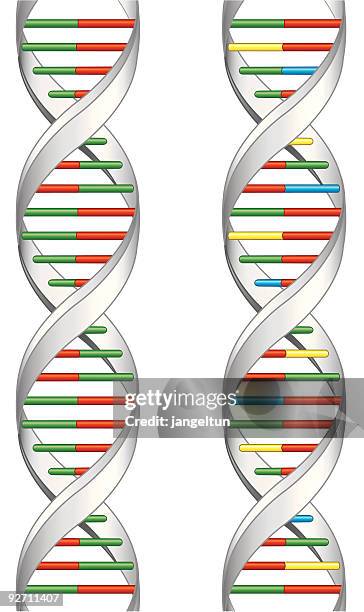 illustrazioni stock, clip art, cartoni animati e icone di tendenza di il dna - nucleotide