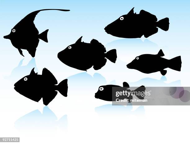 fish silhouettes - clown triggerfish stock illustrations