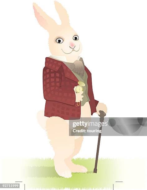 Happy Rabbit Stick 188 Rabbit Stick Stock Photos, High-Res Pictures, and Images - Getty Images