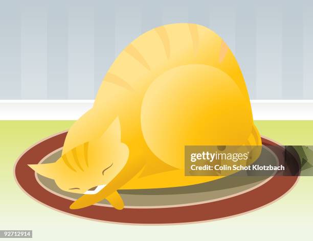 sleeping tabby cat - cat lying down stock illustrations