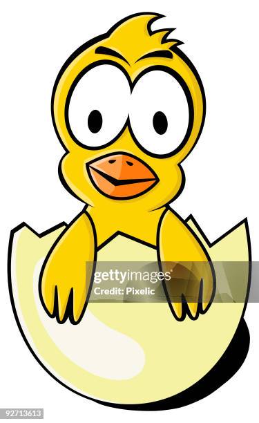 baby chicken - easter egg crack stock illustrations