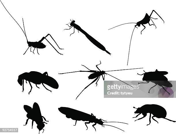 insect shapes - american cockroach stock illustrations