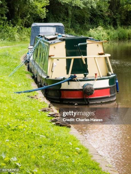 narrow boat on the brecon to usk canal near crickhowell. the cambrian way, wales, uk - crickhowell stockfoto's en -beelden