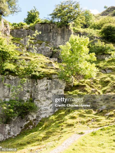 view to hidden caves at eglwys faen above crickhowell. the cambrian way, wales, uk - crickhowell stockfoto's en -beelden