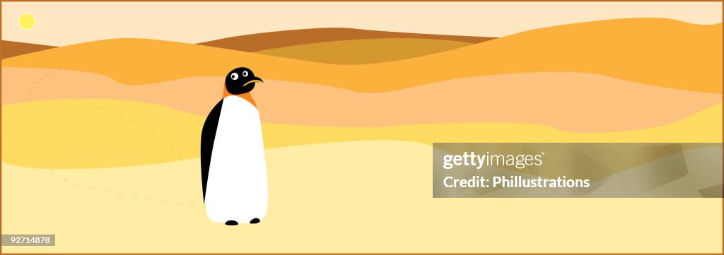 Lost Penguin