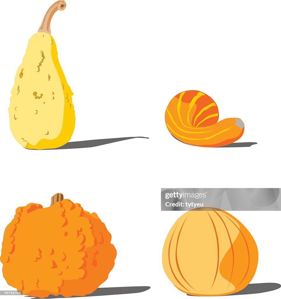 Vector pumpkins