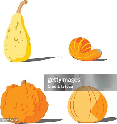 Vector pumpkins Vector pumpkins