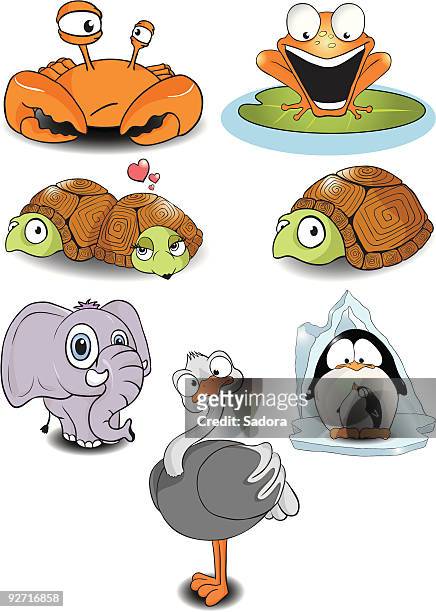 ilustrações de stock, clip art, desenhos animados e ícones de engraçado de animais - tartaruga gigante