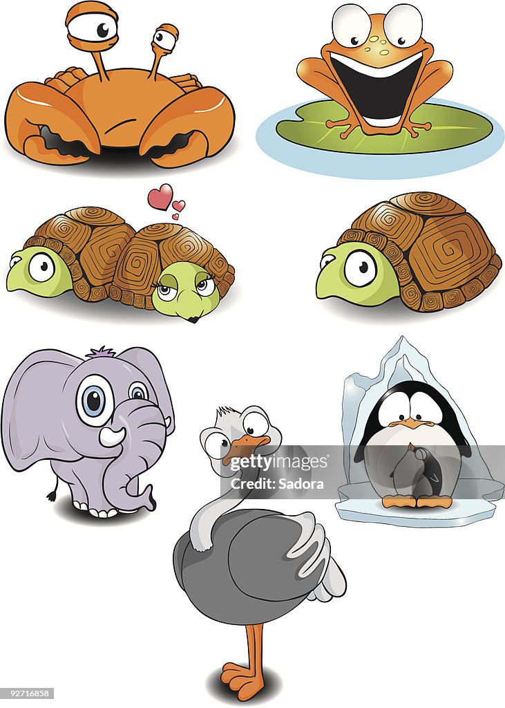 Funny animals