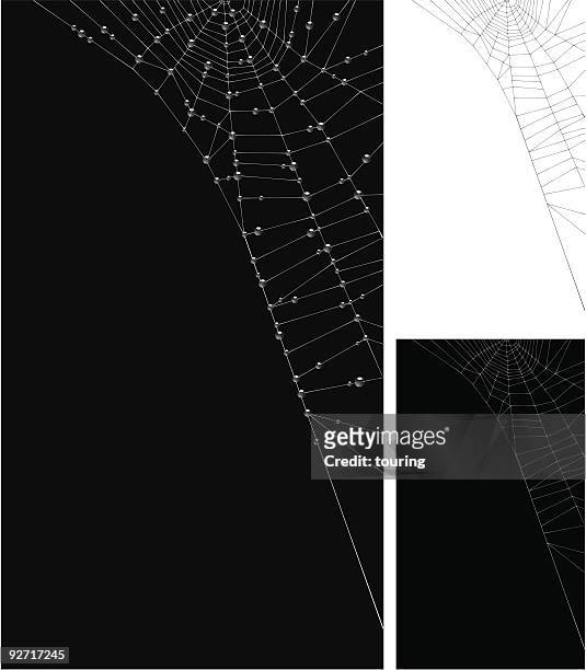 ilustrações de stock, clip art, desenhos animados e ícones de da web - teia de aranha