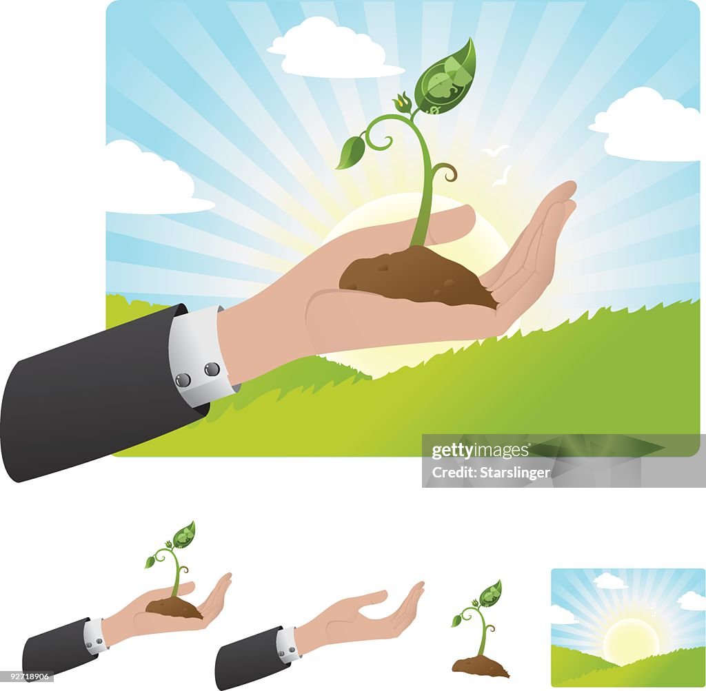 Hand holding Money Tree