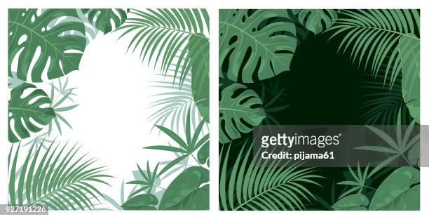 illustrazioni stock, clip art, cartoni animati e icone di tendenza di sfondo giungla - flora