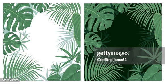 2 7点の密林イラスト素材 Getty Images 2 7点の密林イラスト素材 Getty Images