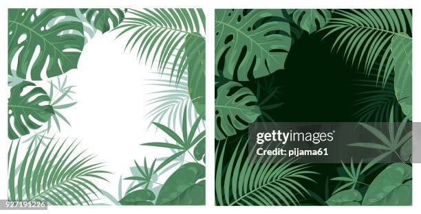 ilustrações de stock, clip art, desenhos animados e ícones de jungle background - floresta pluvial