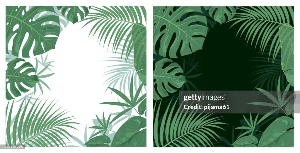 Jungle background