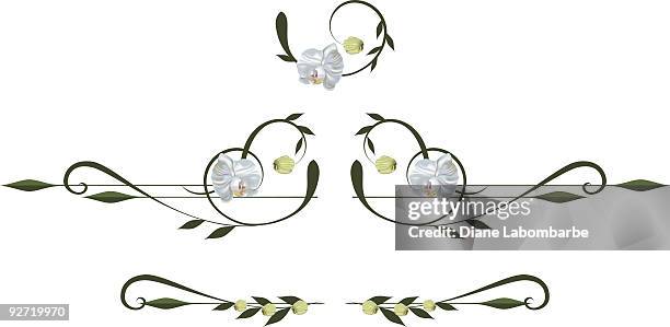 orchid design elements - moth orchid stock illustrations