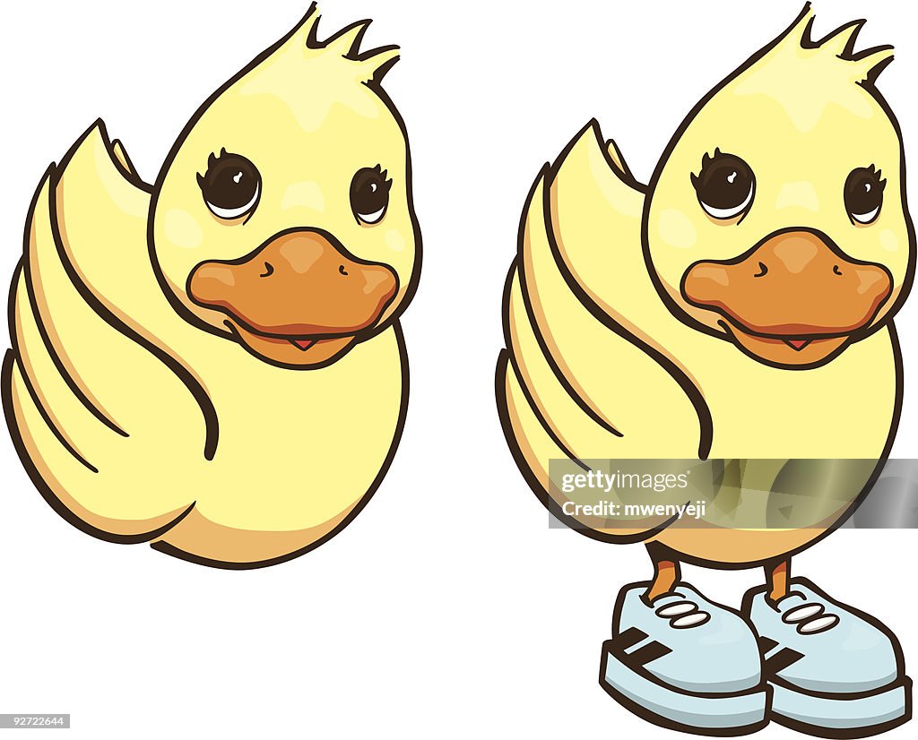 Cute Rubber ducks on water and with running shoes