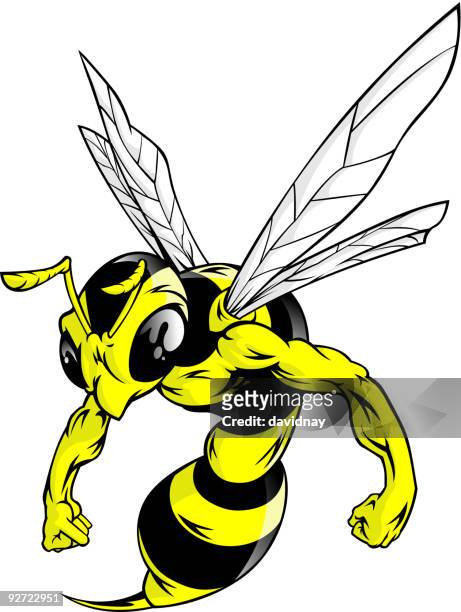 illustrations, cliparts, dessins animés et icônes de hornet mascotte - muscle d'un animal
