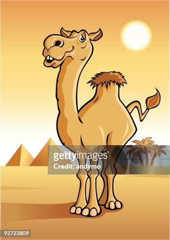 454 Cartoon Camels High Res Illustrations - Getty Images