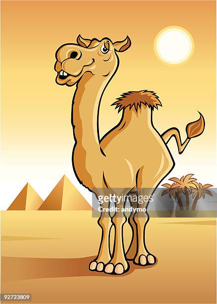 543 Camel Cartoon Photos and Premium High Res Pictures - Getty Images
