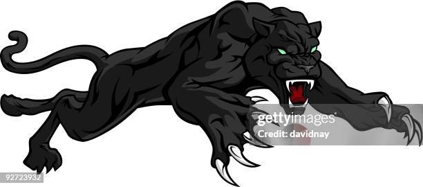 black panther - black cougar stock illustrations