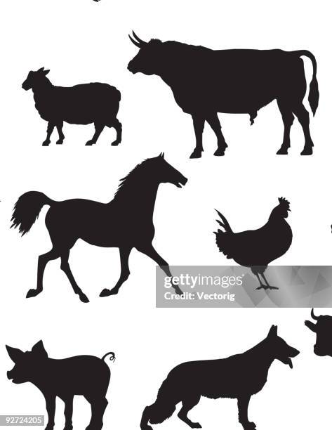 stockillustraties, clipart, cartoons en iconen met farm animals silhouette - pig and dog in a farm