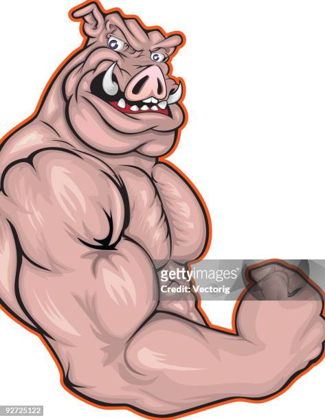 pig strength - animal muscle stock illustrations