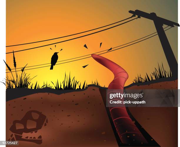 early bird - watching sunrise stock illustrations