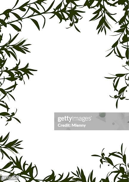stockillustraties, clipart, cartoons en iconen met olive tree branches frame border - olijfboom