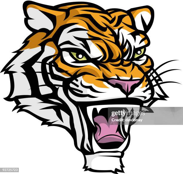 tiger head mascot - tiger face stock illustrations
