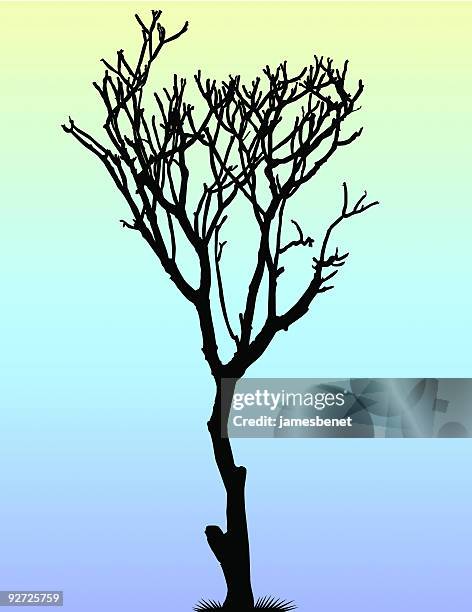 ilustrações, clipart, desenhos animados e ícones de dead árvores ao anoitecer (vector - vista inclinada