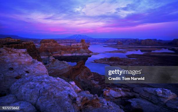 lake powell, az-11 - slickrock trail stock pictures, royalty-free photos & images