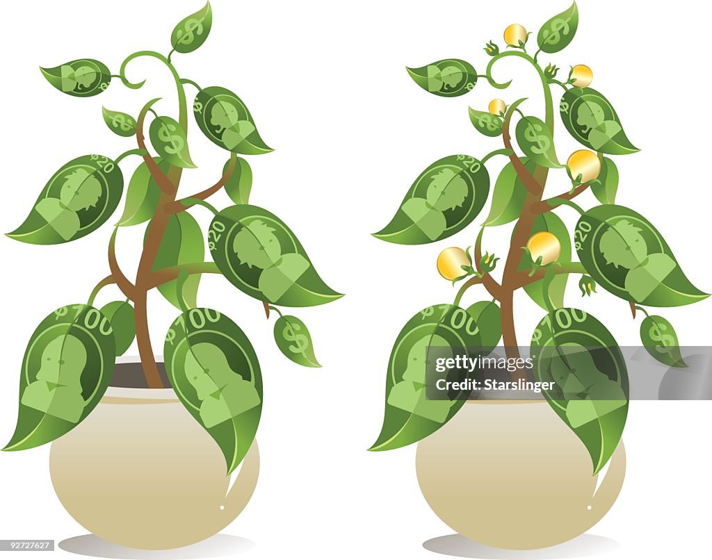Money Tree