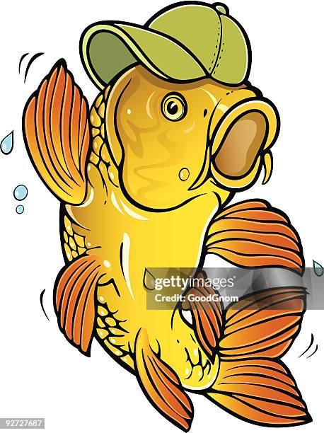 carp - carp stock illustrations