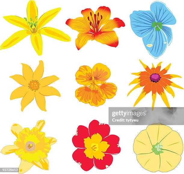 vektor blumen - narbe stock-grafiken, -clipart, -cartoons und -symbole