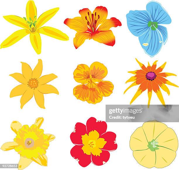 stockillustraties, clipart, cartoons en iconen met vector flowers - stamper