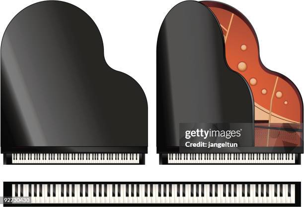 stockillustraties, clipart, cartoons en iconen met piano (vector) - majestueus