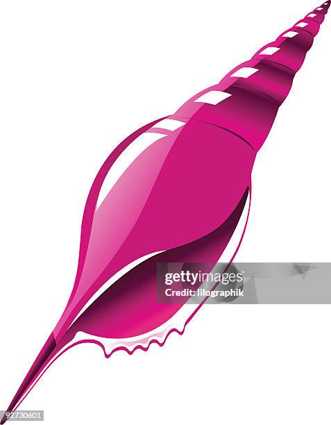 shell - mother of pearl stock illustrations