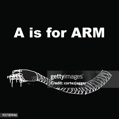 ARM ("A is for...") (vector illustration) ARM ("A is for...") (vector illustration)