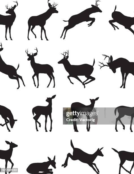 illustrations, cliparts, dessins animés et icônes de silhouette de buck - famille du cerf