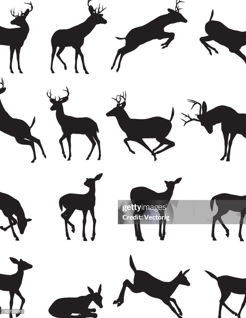 Buck silhouette