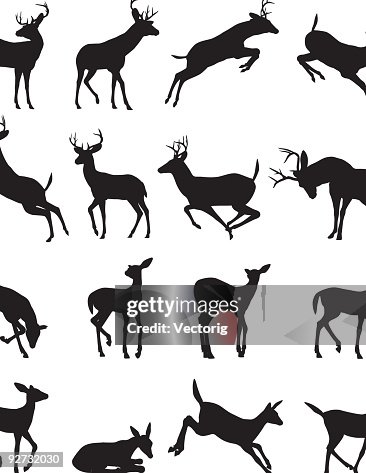 Buck silhouette Buck silhouette