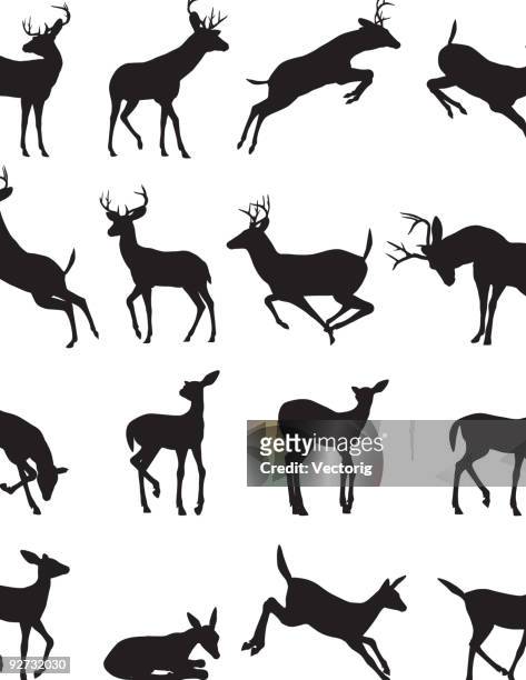 buck silhouette - animal wildlife stock illustrations